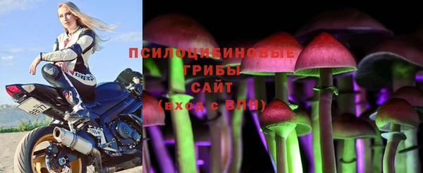 амф Елизово