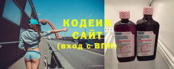 бошки Ельня