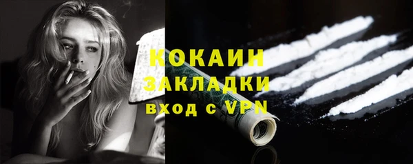 бошки Ельня