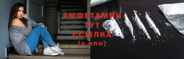 амф Елизово