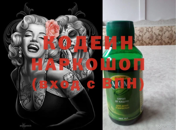 амф Елизово