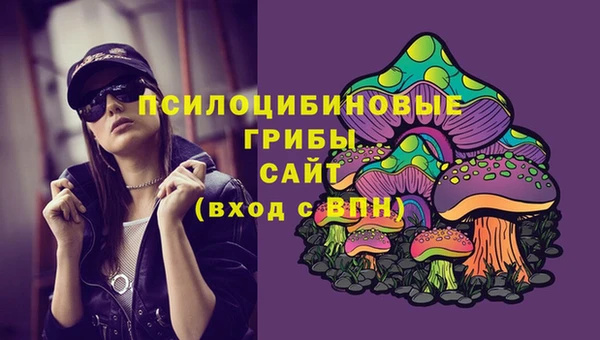 амф Елизово