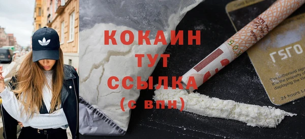 бошки Ельня