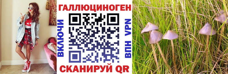 Псилоцибиновые грибы Magic Shrooms  Купить где  Ишим 